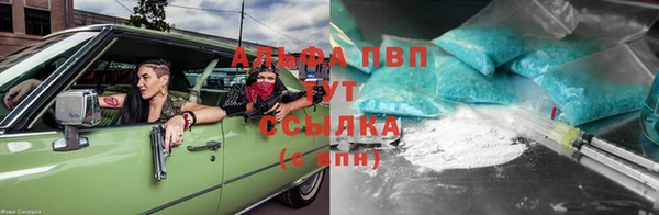 спайс Алзамай