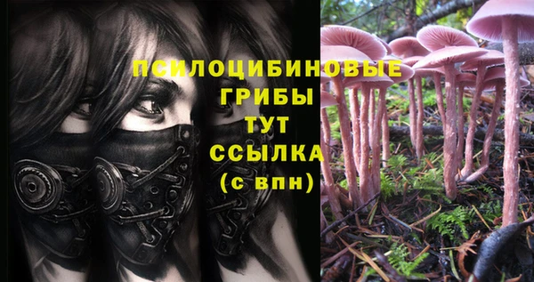 спайс Алзамай