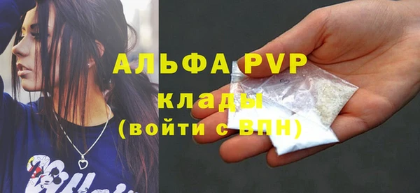 хмурый Алексин