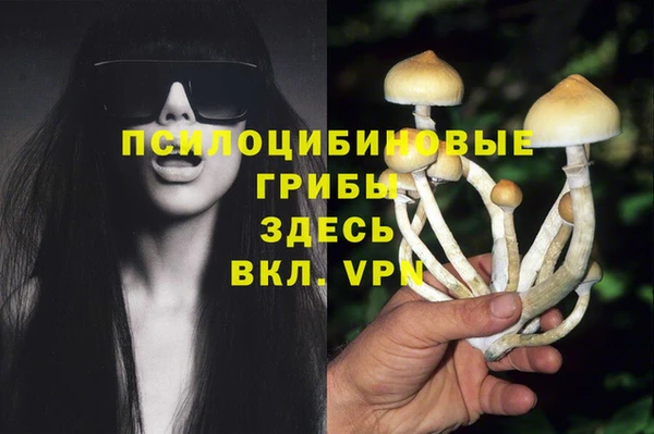 хмурый Алексин