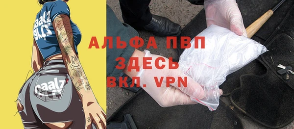 хмурый Алексин