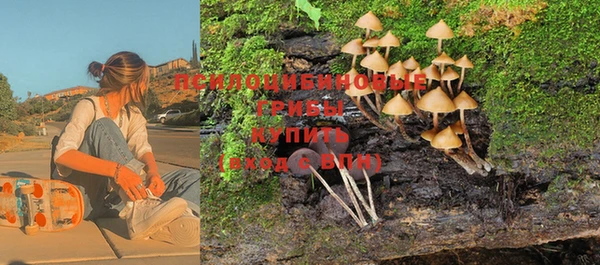 винт Алексеевка