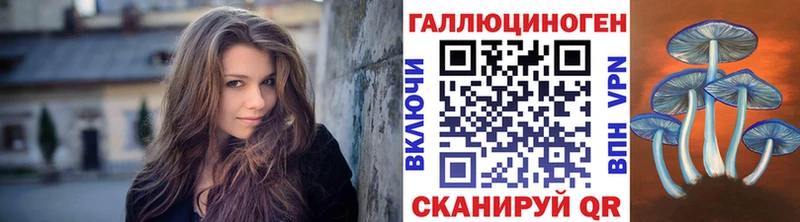Галлюциногенные грибы Psilocybe  ОМГ ОМГ как зайти  Любим  где купить наркотик 